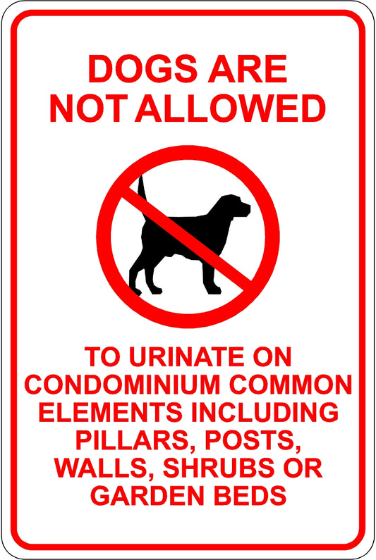 Dogs Not Allowed